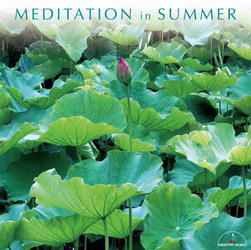 丝袜辣妈的日常生活笔趣阁免费
